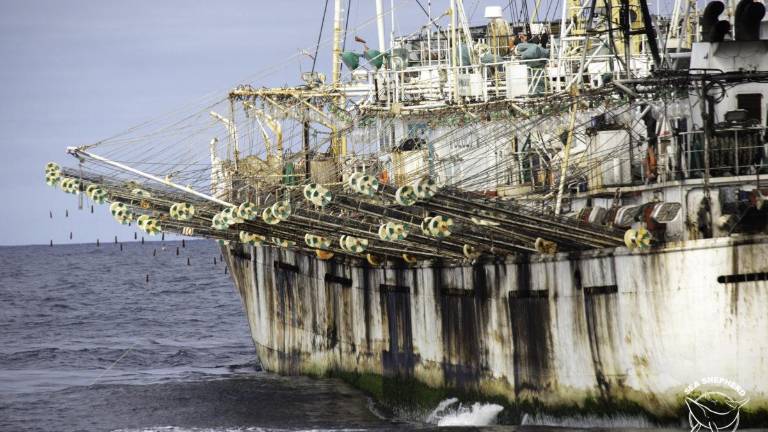 Gobierno Nacional mantiene en vigilancia una flota pesquera cerca de la zona exclusiva de Galápagos