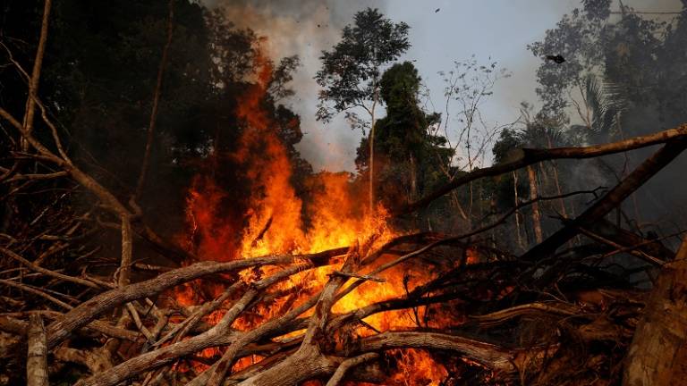El Pantanal, el mayor humedal del planeta, también arde en Brasil