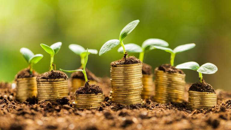 Proyectos se cristalizan a través de créditos verdes