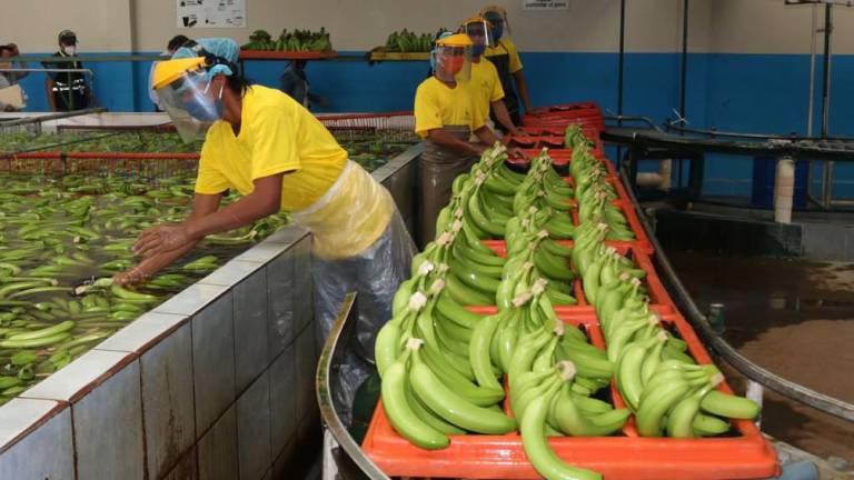 Ecuador registra superávit en la balanza comercial de 2021 con $ 2.871 millones