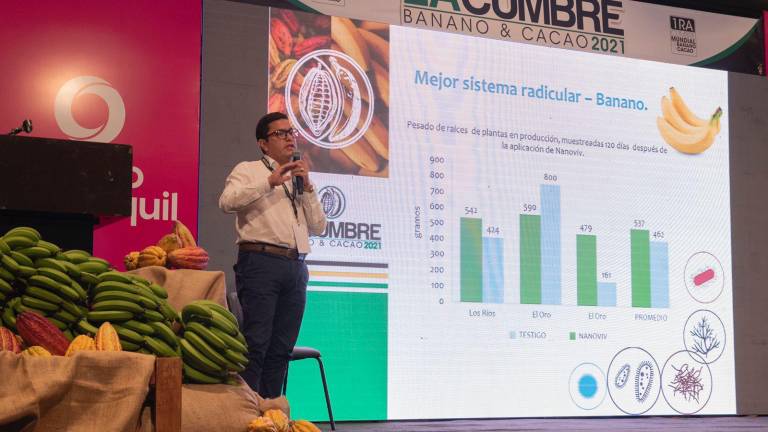 Cumbre de banano y cacao se realizará en Guayaquil