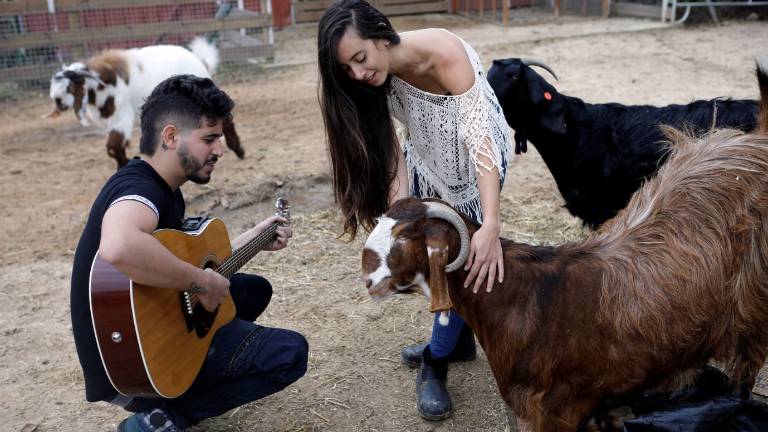 La Granja que cuida de animales que iban a ser sacrificados
