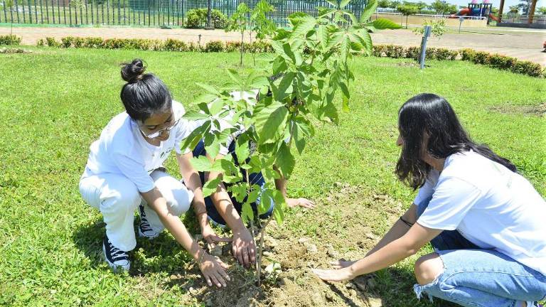 A través de intervenciones puntuales y articuladas a su modelo educativo, la Universidad ECOTEC contribuye con diversos programas ambientales, vinculando a su comunidad académica.