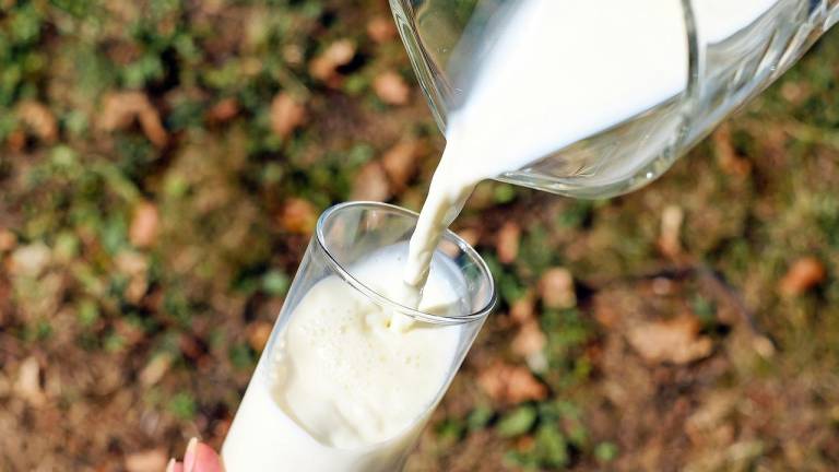 ARCSA se pronuncia tras alerta de presunta contaminación de la leche en Ecuador: se trata de un estudio inconcluso