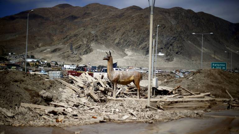 Baja a 85 el número de desaparecidos por aluviones en el norte de Chile