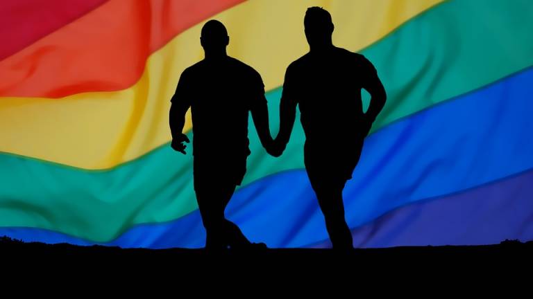 Estudio a gran escala no encuentra el &quot;gen gay&quot;, pero no lo descarta