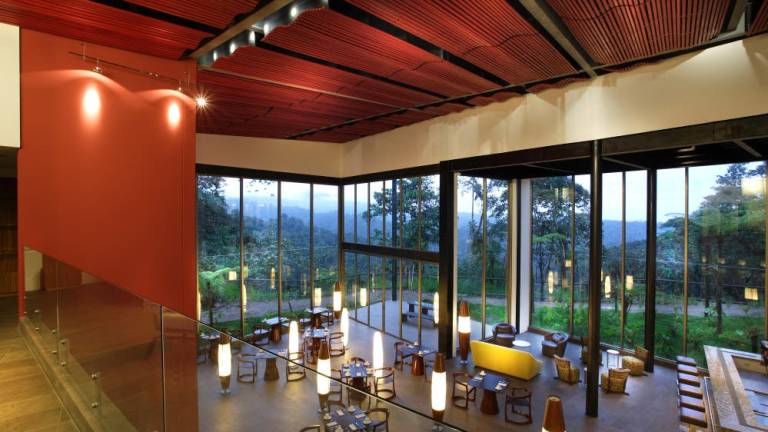 Mashpi Lodge, hotel ecuatoriano entre los 24 selectos del mundo por National Geographic
