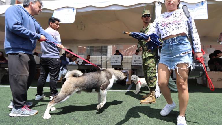 En la Unidad Educativa Charles Darwin, al norte de Quito, algunos electores votaron en compañía de sus mascotas.