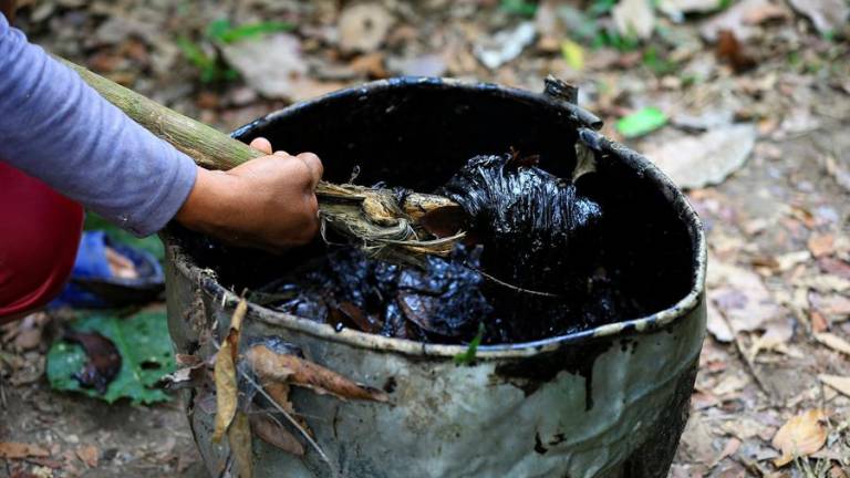 Pescados con olor a diésel y cultivos destruidos, denuncian indígenas de la Amazonía en Ecuador