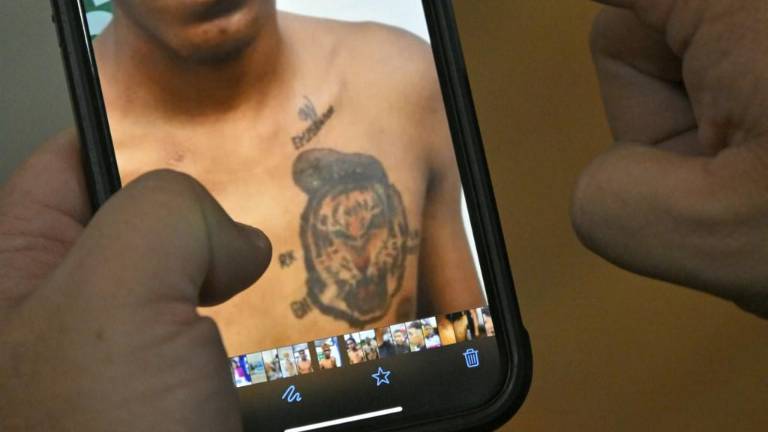 Advierten peligro por tatuajes de animales que pueden costar la muerte en Ecuador, debido a guerra del narcotráfico