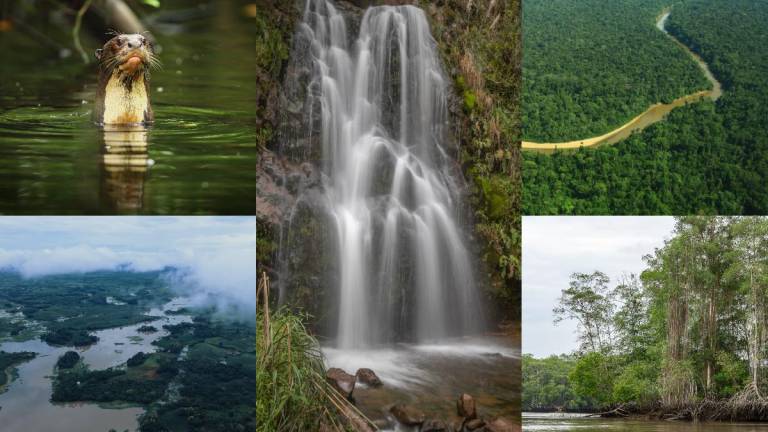 5 paraísos escondidos del Ecuador para visitar en feriado y vacaciones