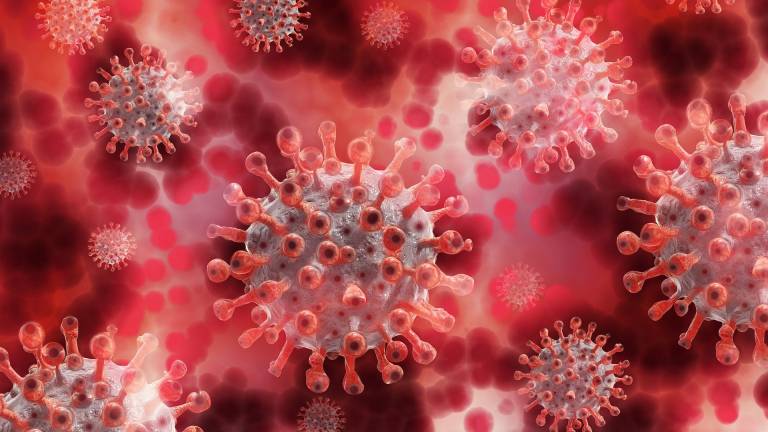 OMS confirma cuál fue el origen del coronavirus