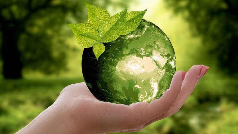 Hacia un mundo más verde