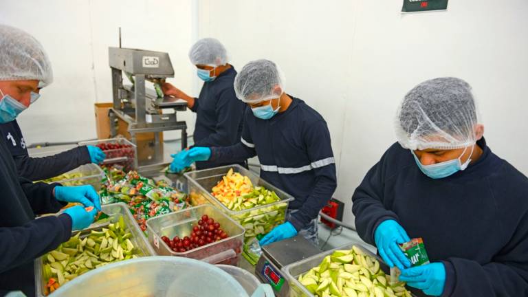 Conozca la hoja de ruta del sector de alimentos y bebidas para el 2021