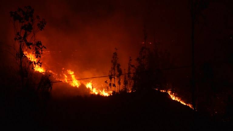 Detienen a 5 sospechosos de provocar incendios en Chile