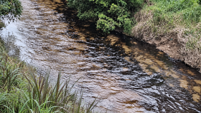 Nuevo derrame de petróleo en Quinindé: suspenden servicio de agua potable por contaminación del río Cupa