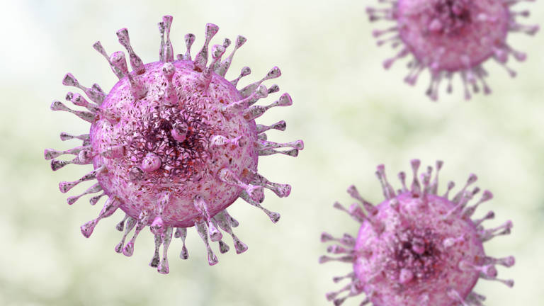 Encuentran el “talón de Aquiles” del coronavirus causante de la COVID-19