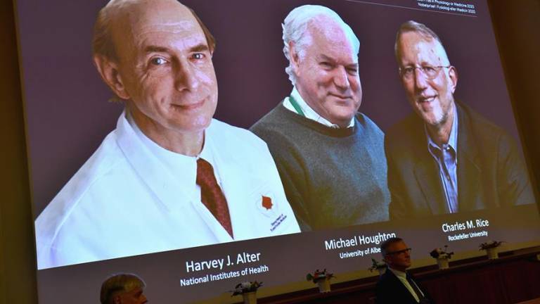 Un Nobel de Medicina para tres virólogos que resolvieron &quot;un problema global&quot;: hepatitis C