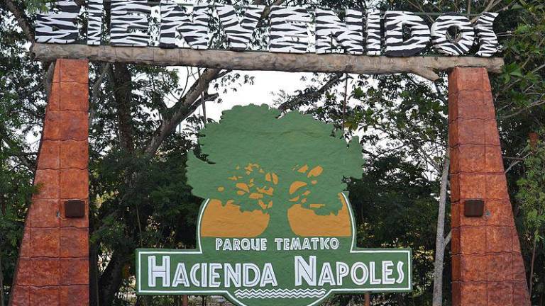 Hipopótamos de Pablo Escobar serán donados a Ecuador