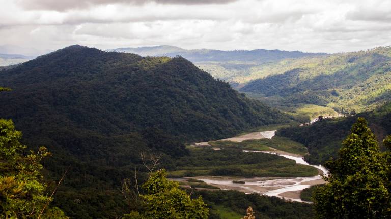 Profesores fueron víctimas de avioneta accidentada en amazonía