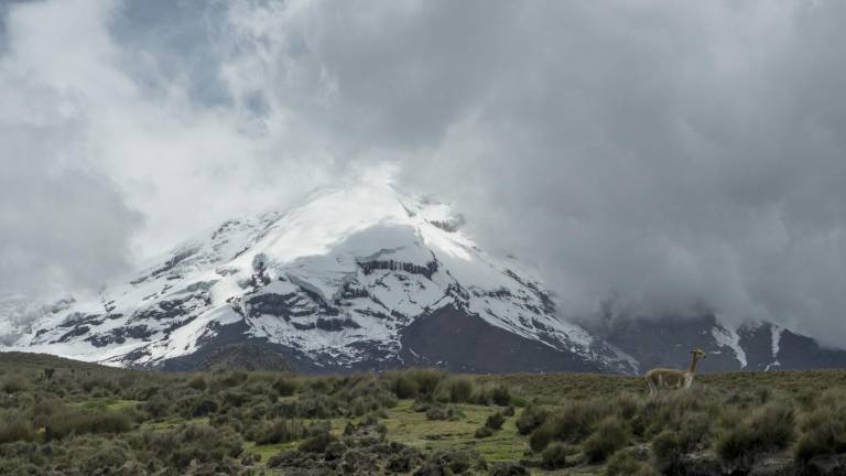Ministra denuncia que turistas fueron presuntamente extorsionados durante recorrido en el volcán Chimborazo