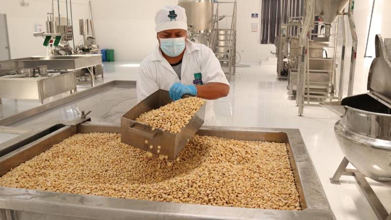 Harina y bebidas de chocho generan interés en el mercado internacional