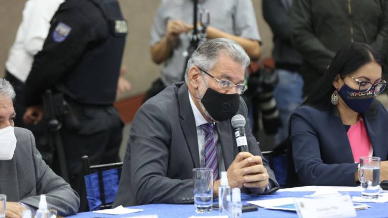 Consejo Nacional Electoral se reunirá tras críticas de la OEA y Moreno