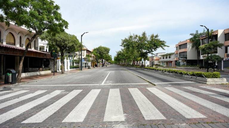 Alcaldesa de Guayaquil da detalles sobre restricción de circulación de vehículos, como medida para frenar la covid-19