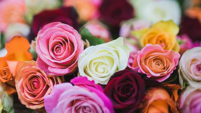 El aeropuerto de Quito marca récord de exportaciones de flores por San Valentín