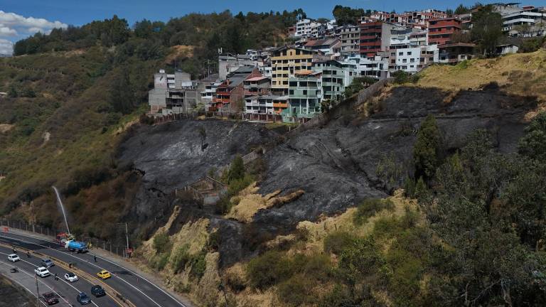 Pichincha y Carchi concentran la mitad de los ocho incendios forestales activos en Ecuador
