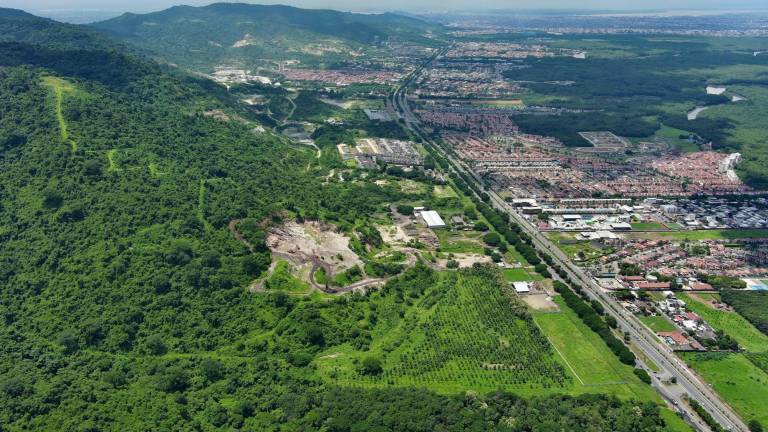 En medio de críticas, Aquiles Alvarez insiste en que la construcción de un túnel bajo el bosque Cerro Blanco no afectaría la zona protegida