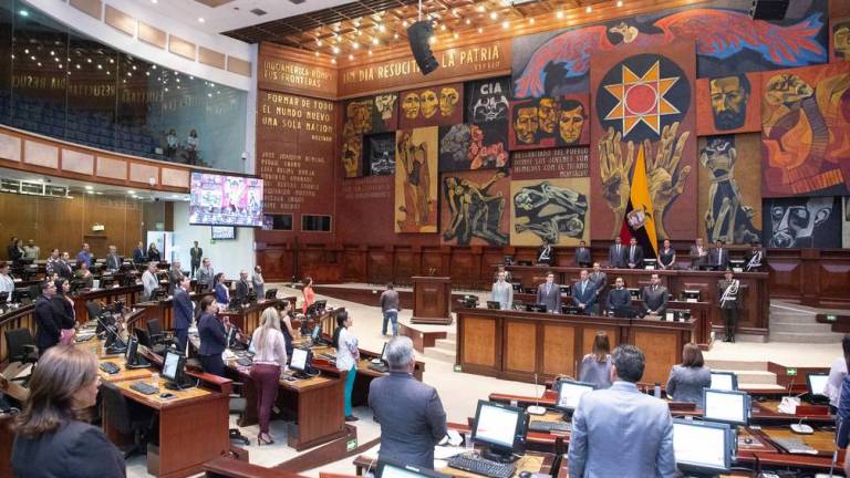 CNE proclama resultados definitivos para la dignidad de asambleístas nacionales