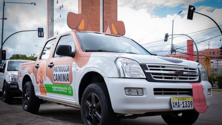Patrulla Canina: el nuevo servicio municipal que vela por el bienestar animal en Cuenca