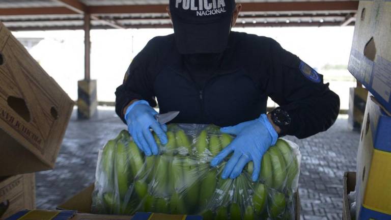 De Guayaquil al mundo, cocaína por toneladas