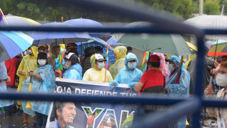 Manifestantes indígenas llegan hasta la junta electoral en Guayaquil para apoyar a Yaku Pérez