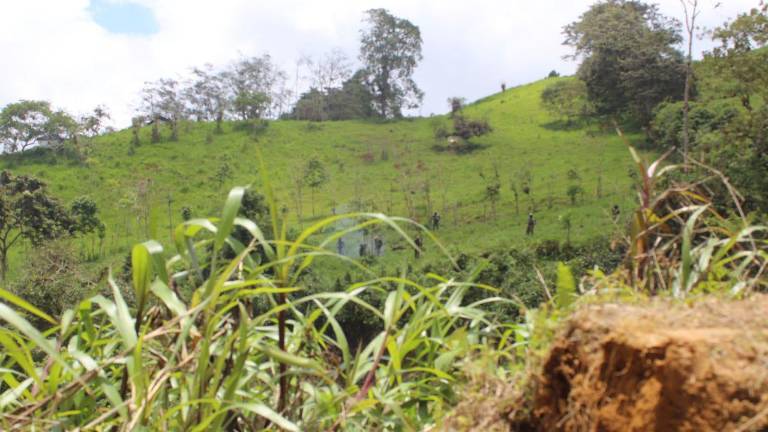 ¿Qué sucede en Palo Quemado? Comisión denuncia represión y pide salida de las fuerzas del orden