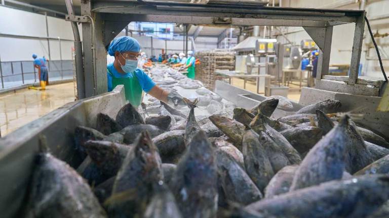 Más de 350.000 toneladas de atún procesado se exportan cada año desde las plantas de Manta y Posorja.