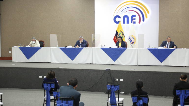 Quedan suspendidas las elecciones para parlamentarios andinos, TCE admitió a trámite un recurso