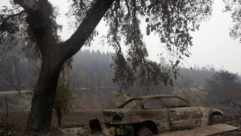 Identifican 24 de los 62 fallecidos en el incendio de Portugal