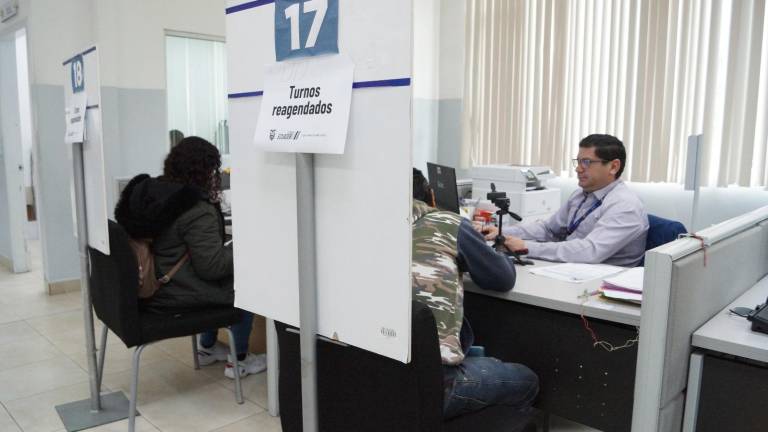 Fallas en sistemas de la ANT afectan emisión de licencias y matriculación vehicular: ¿qué pasará con los turnos?