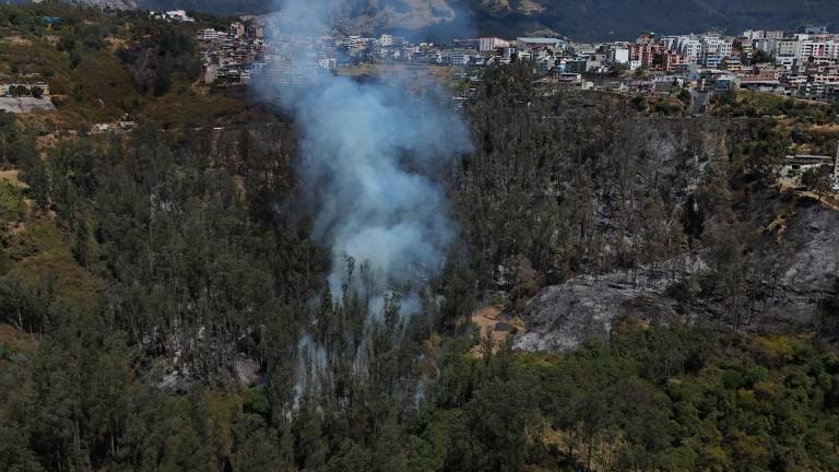 Ecuador registra ocho incendios forestales activos este viernes: Pichincha concentra cinco
