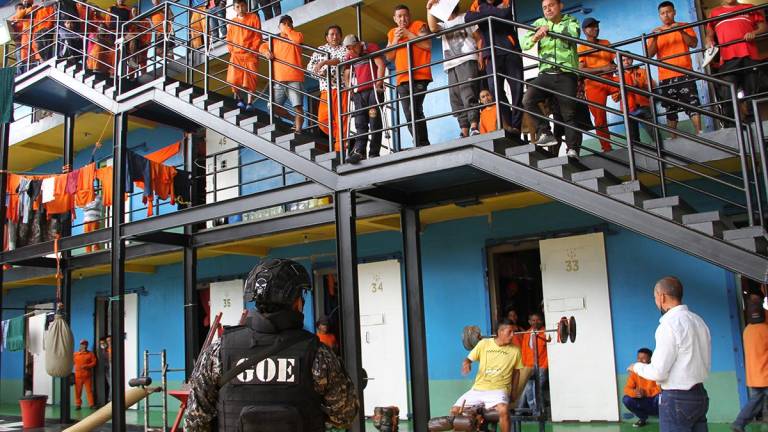 Unos 11.000 presos de Ecuador se identifican con alguna banda criminal