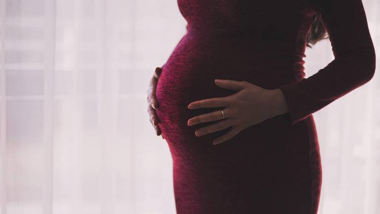 Corte de EEUU rechaza liberar a embarazada que pidió excarcelación en nombre de su feto