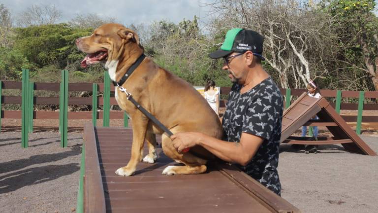 El Parque Recreacional Canino, ubicado en El Mirador, Santa Cruz fue elaborado con 2,5 toneladas de envases Tetra Pak® que fueron recuperados y transformados por Surpapel.