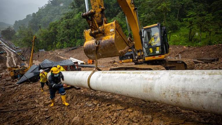 El crudo colombiano vuelve a pasar por Ecuador: Petroecuador da detalles sobre el reinicio del servicio de transporte