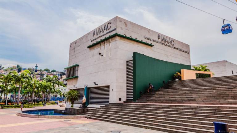 Con una feria gratuita el MAAC celebrará el Día Internacional de los Museos