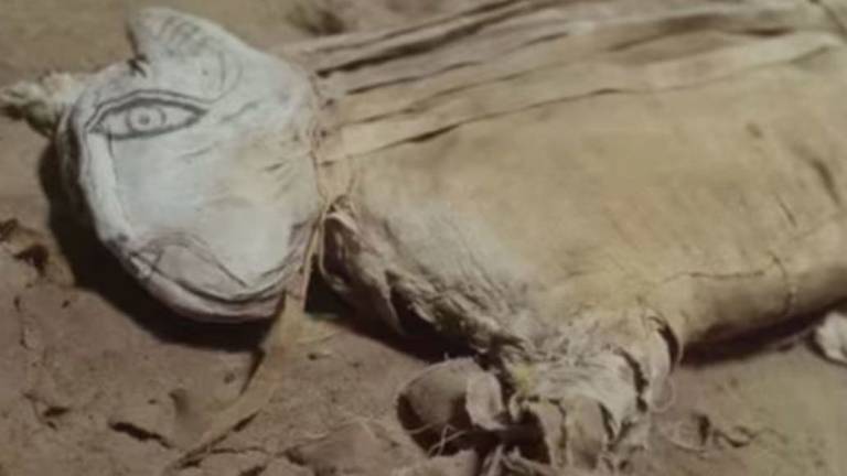 Un impresionante animal momificado en Egipto desconcierta a los arqueólogos