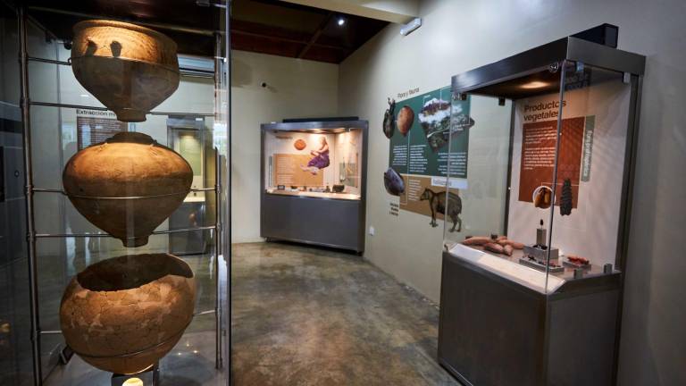 Hallazgos arqueológicos muestran cómo fue la vida de la cultura Machinaza en la Amazonía