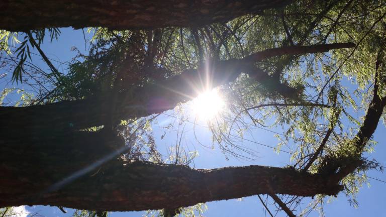 El clima en Ecuador este lunes 24 de agosto: lluvias en varias provincias y sol intenso en la Sierra