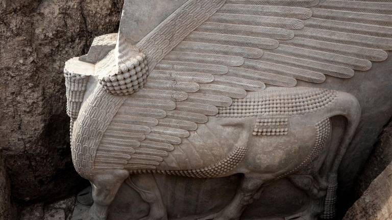 Esta fotografía tomada el 24 de octubre de 2023 muestra una vista lateral de una escultura de alabastro asirio Lamassu (toro alado con cabeza humana) recién desenterrada con todas sus alas intactas por la misión arqueológica francesa en el sitio arqueológico de Khorsabad.